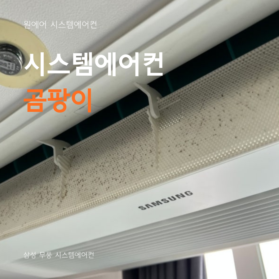 무풍 시스템에어컨 곰팡이, 왜 생기는 걸까요? 현장사진
